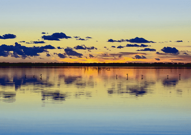 Lago di Massaciuccoli birdwatching