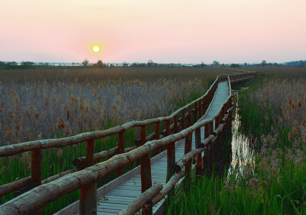 Oasi Lipu Lago di Massaciuccoli